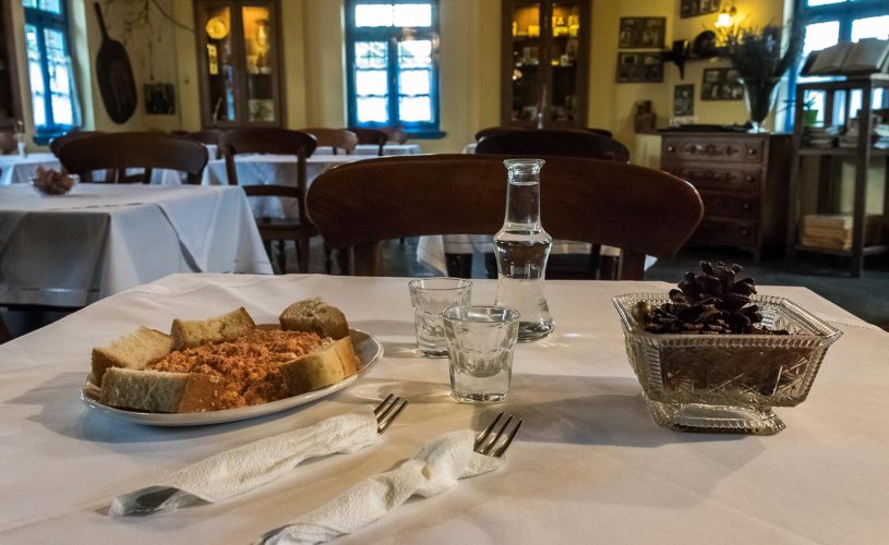 ΠΕΤΡΩΤΟ ΖΑΓΟΡΙ ΔΙΑΜΟΝΗ
